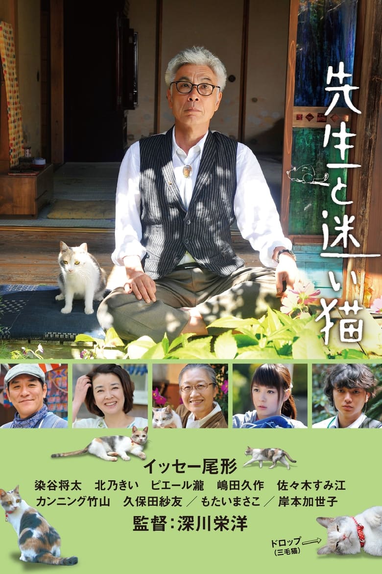 Finding Calico (2015) กลับบ้านเถอะนะ…เจ้าเหมียว
